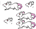 PixelRats